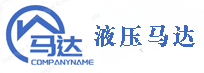山東液壓馬達(dá)生產(chǎn)廠家